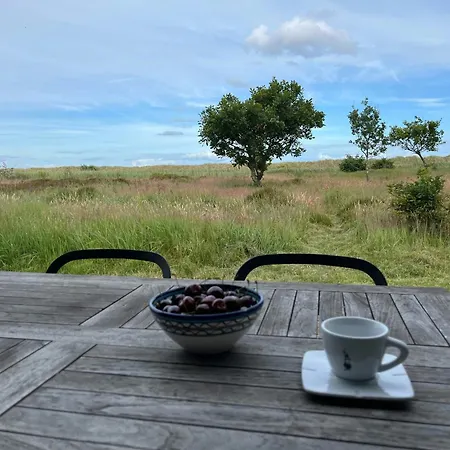 Semesterbostad Modern Summer House With A View Of The Dunes