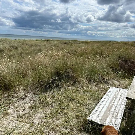 Modern Summer House With A View Of The Dunes *