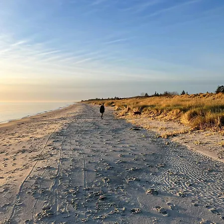 Modern Summer House With A View Of The Dunes Hals